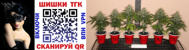 Купить  Владивосток  Марихуана White Widow 